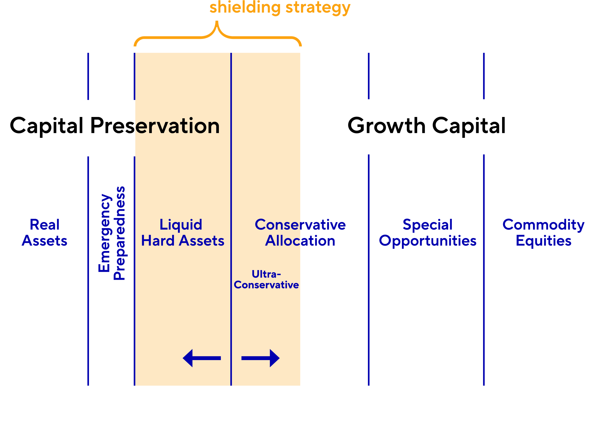 Structure of the Shielding Strategy by Friedrich Report